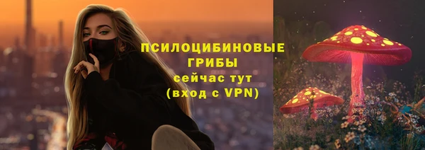 амф Горнозаводск