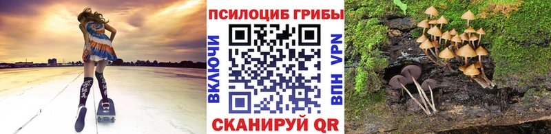 Галлюциногенные грибы ЛСД  купить  сайты  Сокол 