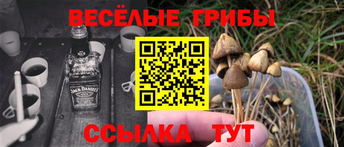 Псилоцибиновые грибы прущие грибы  Вход с VPN  Сокол 